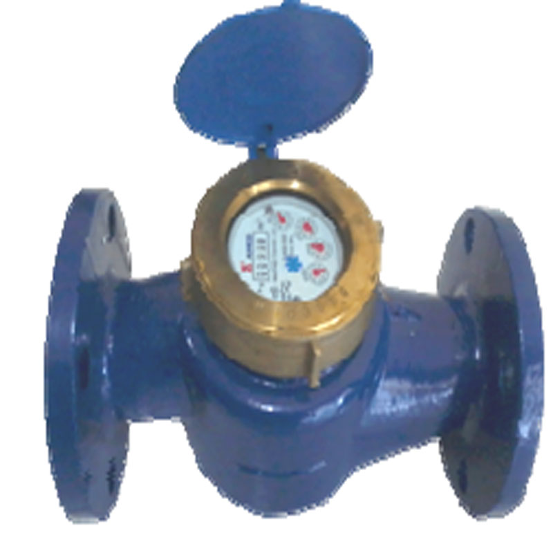 Amico Water Meter 2in Type LXSG 50E