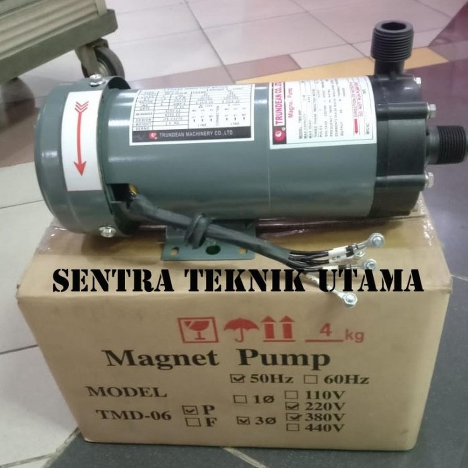 Trundean Magnetic Pump TMD 06P Yang 3 Phase