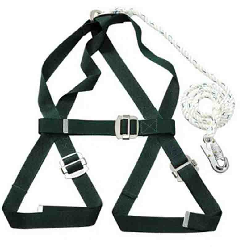 Blue Eagle Full Body Harness NP787