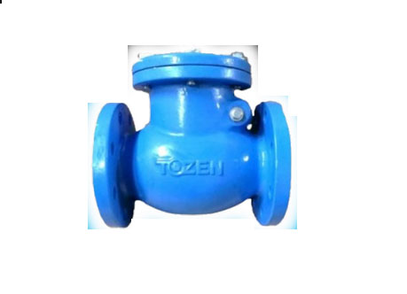 IRON SWING CHECK VALVE (CCV-J) JIS10K
