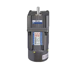 TUNG LEE - SINGLE PHASE ELECTROMAGNETIC BRAKE MOTORS - OF IKB TYPE MOTOR